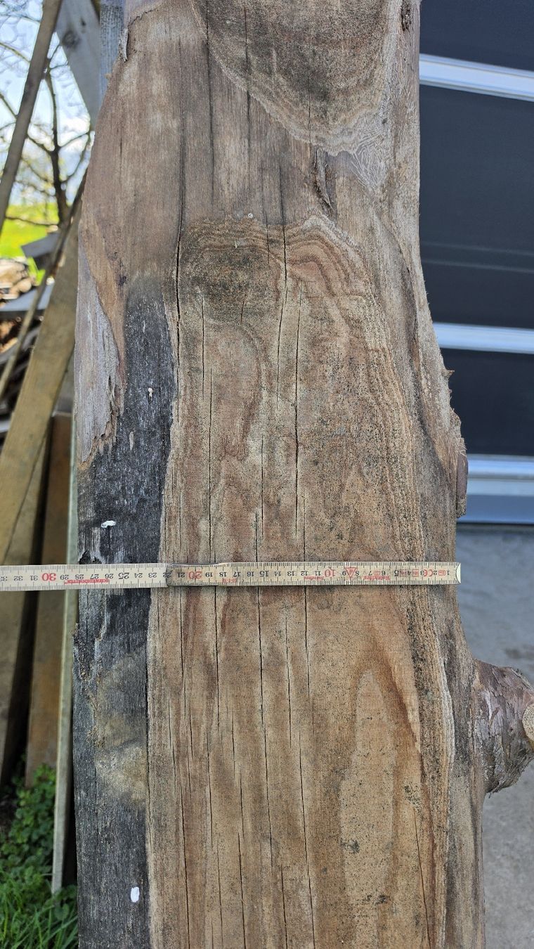 Articoli in legno: ulme brett – Usato da Niedermuhlern venduto da Bkdesign 1