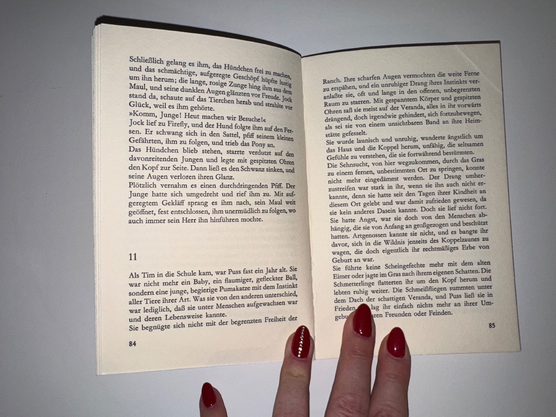 Libri: Buch: Helen Griffith, Wild und frei – Usato da Grosswangen venduto da Second_hand_paradise 4