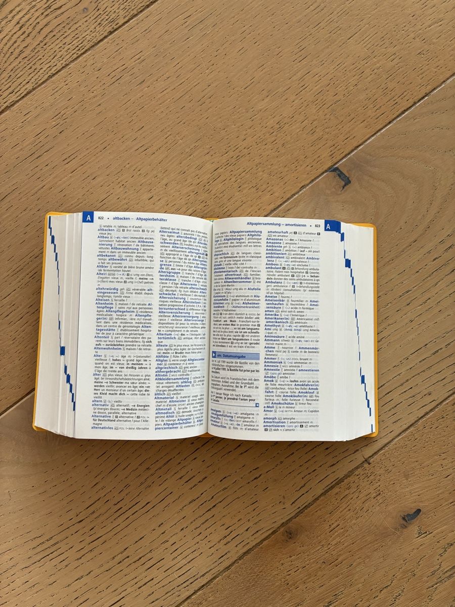 Libri: Dictionnaire français-allemand  – Nuovo (secondo la descrizione) da Bulle venduto da ste_t2ng 2