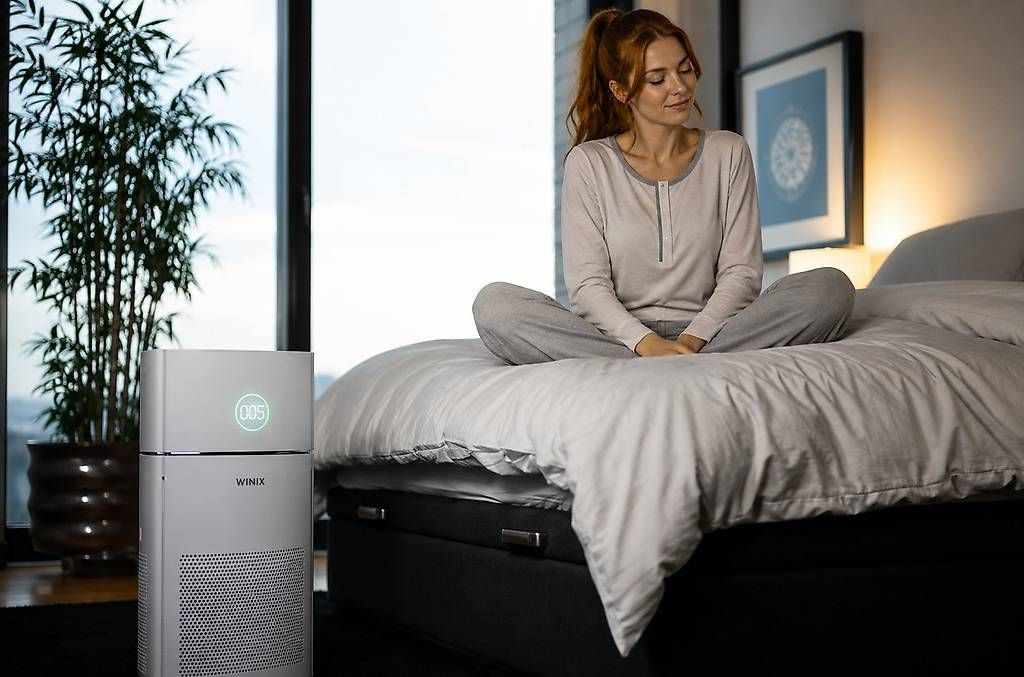 Purificatori d'aria: Mundoclima MU-PUR400 Luftreiniger – Usato da Winterthur venduto da PO_TeGe