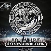10 Jahre Palmen aus Plastik Tour, Hallenstadion, Stehplatz