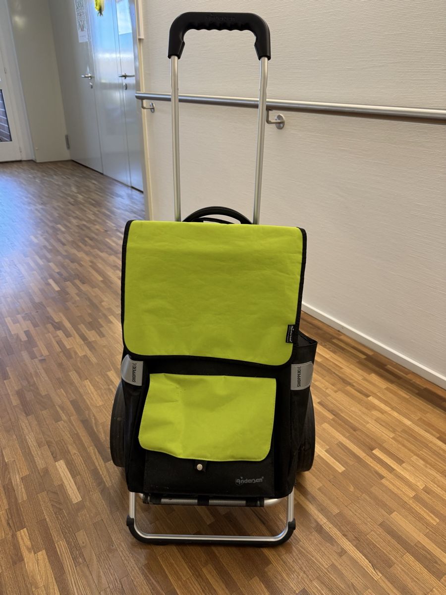 Altro per la casa: Einkaufstrolley Andersen Shopper – Usato da Eglisau venduto da Aurum750 1