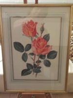 Bild mit Rahmen, Rosen