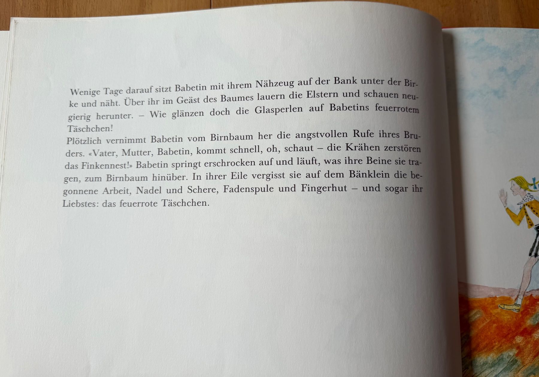 Libri: Bilderbuch  BIRNBAUM  BIRKE  BERBERITZE – Usato da Starrkirch-Wil venduto da heidiml 2