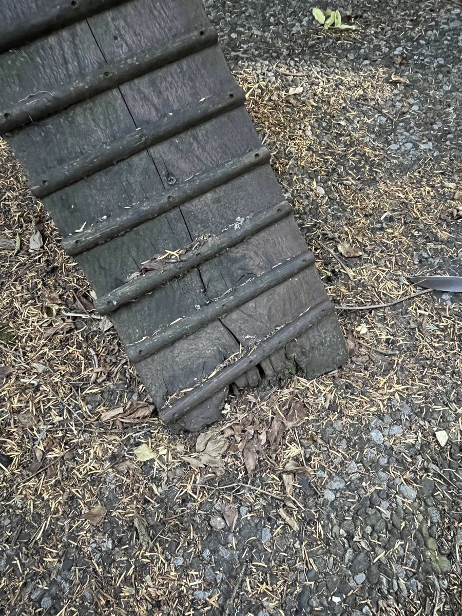 Scale: Katzentreppe, Katzenleiter – Usato da Bern venduto da kw4567 2