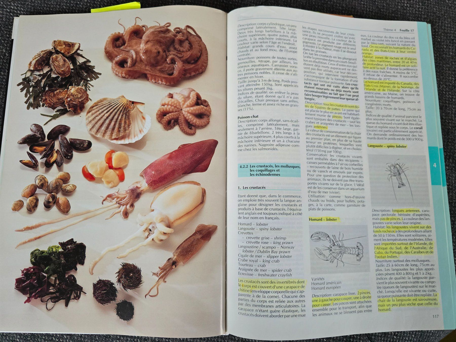 Libri: Pauli: Technologie culinaire – Usato da Büttikon AG venduto da Amineah 3