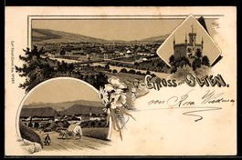 Lithographie Olten, Straßenpartie, Burg, Ortspanorama