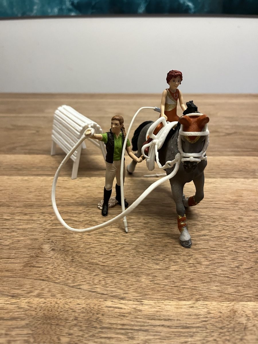 Schleich Giocattoli: Ponyset zu verkaufen – Usato da Weesen venduto da D0101D 5