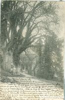 Genève - Allée du Parc de Mon Repos 1905