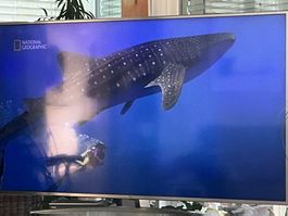 LG 82UM7600, 207 cm, téléviseur 4K