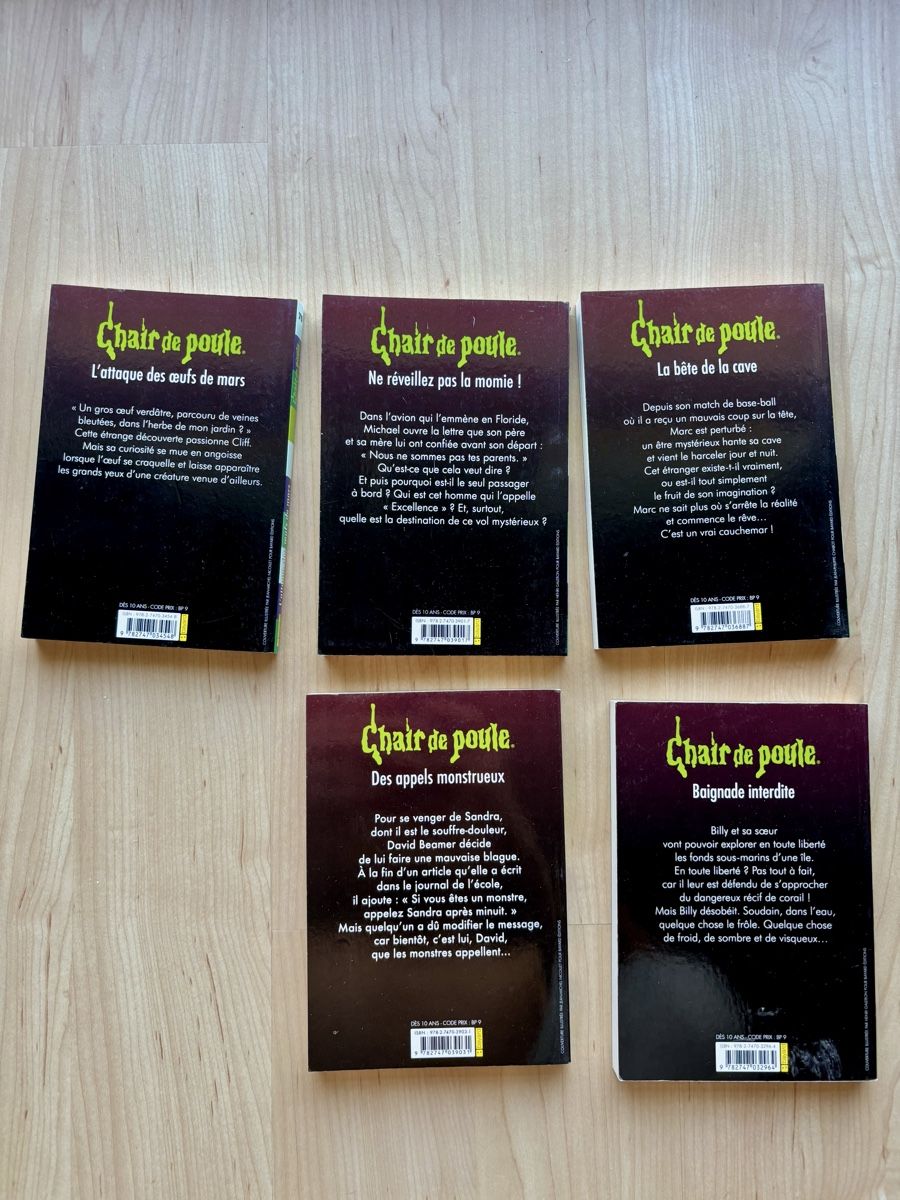 Livres: livres Chaire de poule – Neuf (Voir description) à Denens par RomainSecondeMain 1