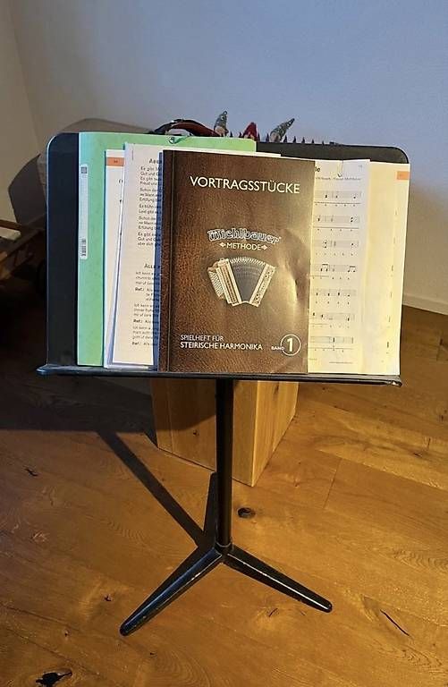 Strumenti musicali: Novak Superium Harmonika – Usato da Eschen venduto da Forsttech-Eschen 3