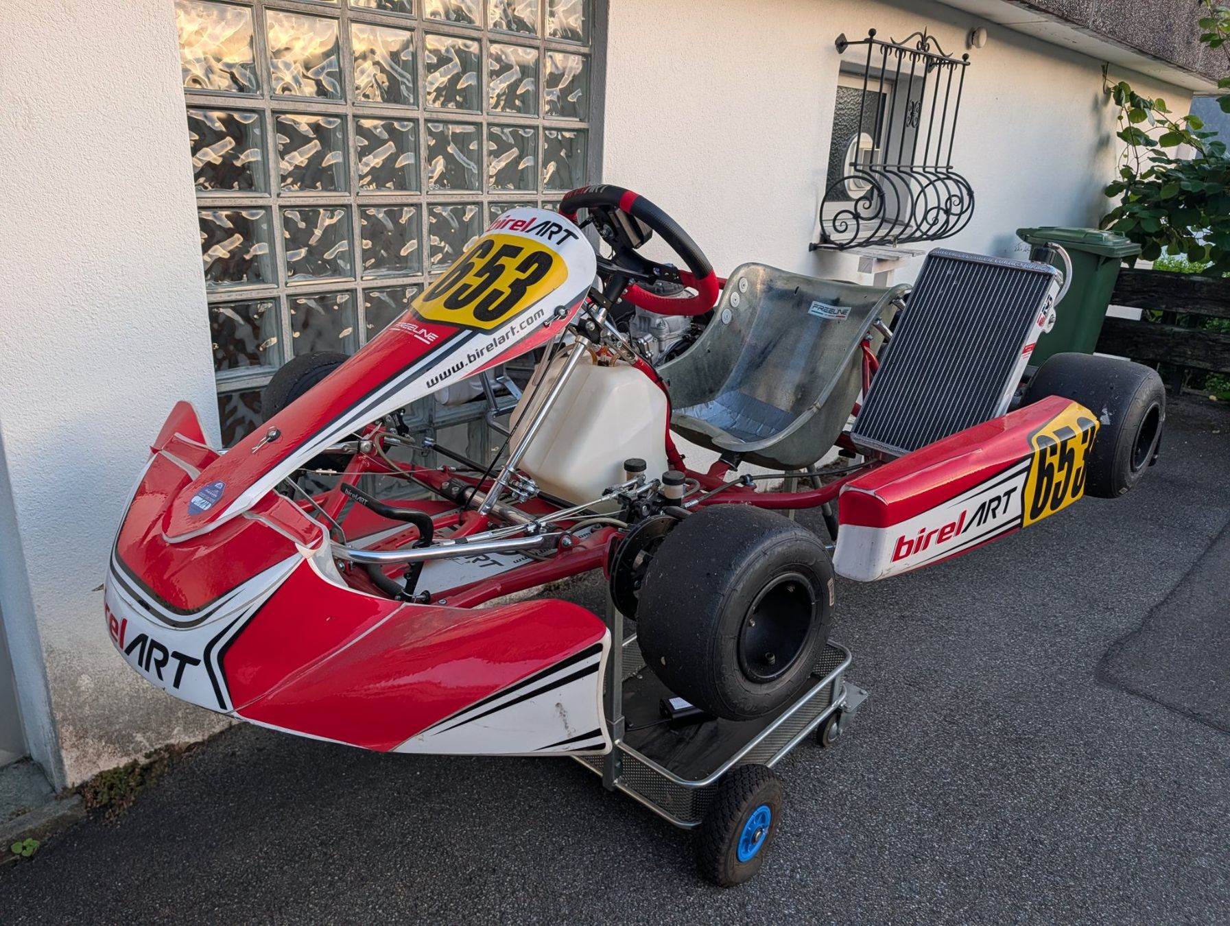 Karts: Birel ART Schaltkart – Gebraucht aus Walchwil von whezg 5