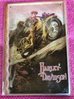 Harley Davidson classic v2 motorrad