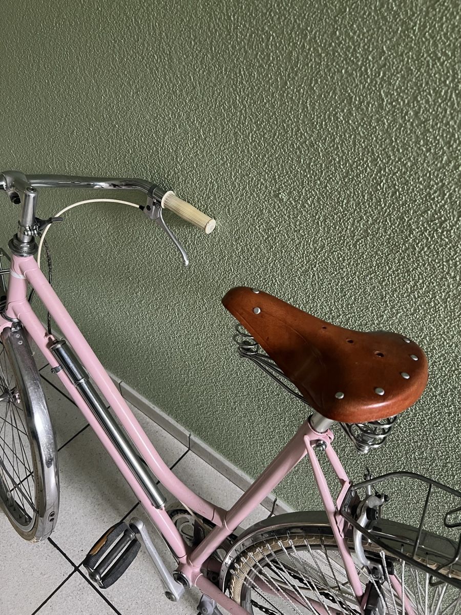 Biciclette: Hübsches Retro Damenvelo – Usato da Wynigen venduto da saranemi 1