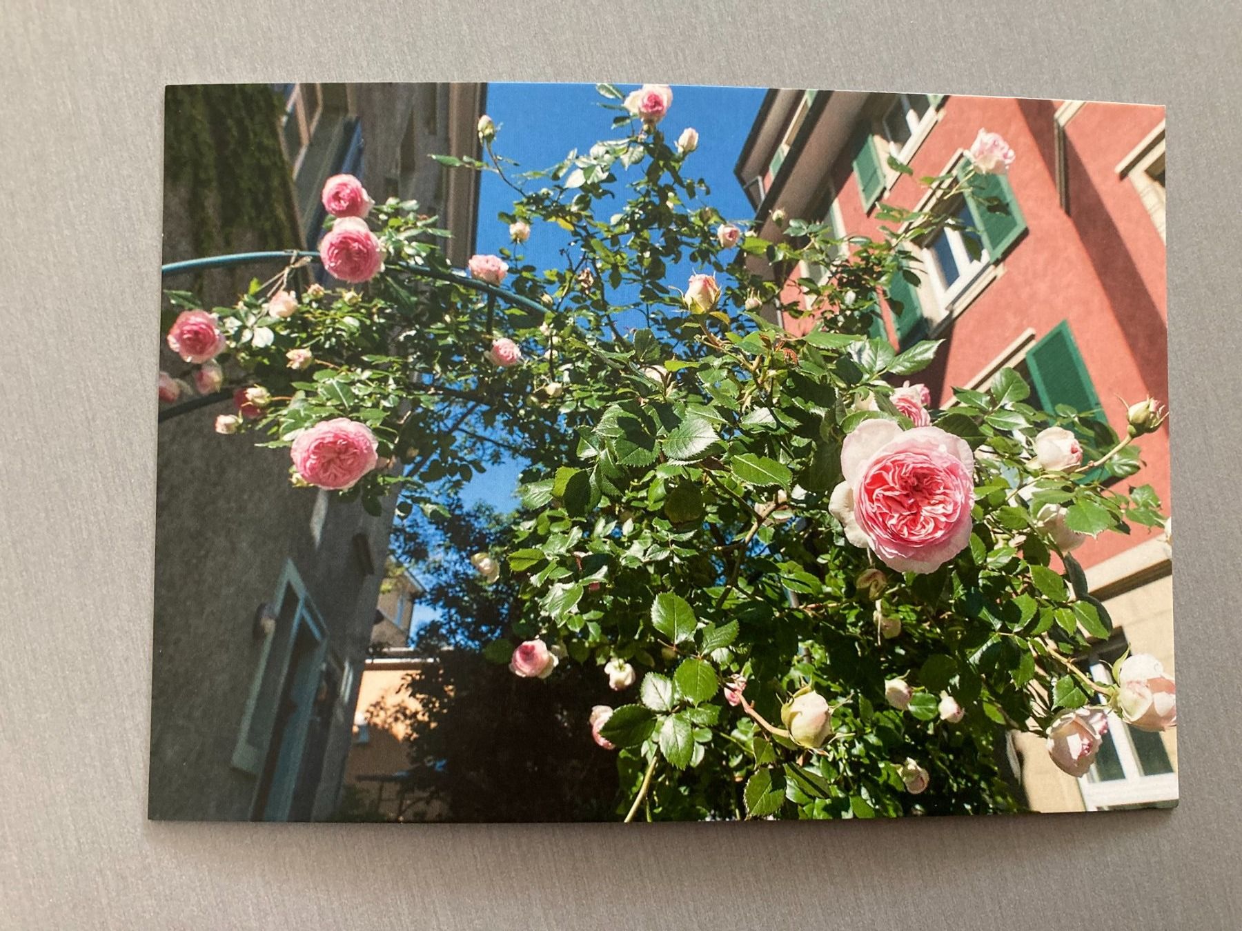 Ansichtskarten: Postkarten Blumen – Neu und originalverpackt aus Obfelden von miau68 4