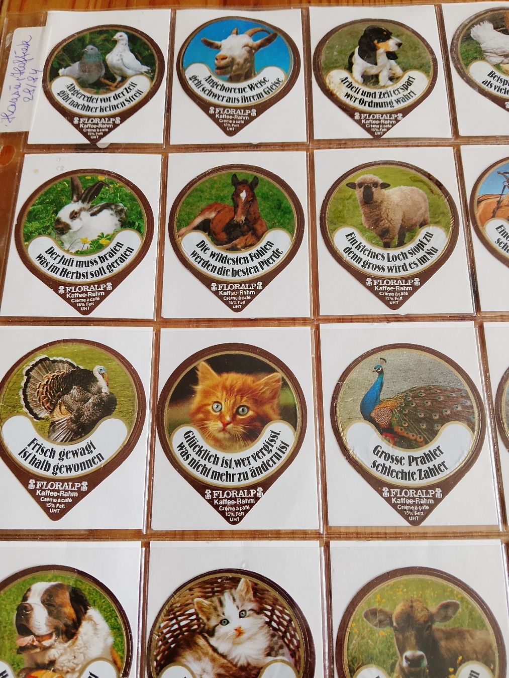 Floralp Kaffeerahmdeckel: Kaffeerahmdeckeli – Neu (gemäss Beschreibung) aus Volken von katz5 6