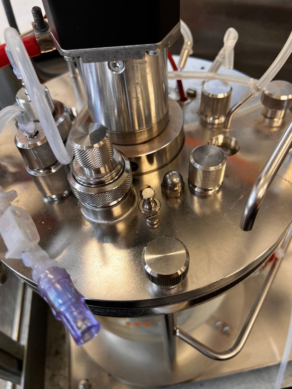 Tutte le macchine: Infors HT Labfors Bioreactor System 2.5L Vessel – Usato da Niederdorf venduto da LeptonAG_Labor 3