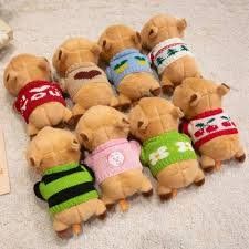 Giocattoli: Capybara Plüschtier mit Pullover  ++ neu und unbenutzt ++ – Nuovo e nell'imballaggio originale da Salez venduto da EMERCARO 2