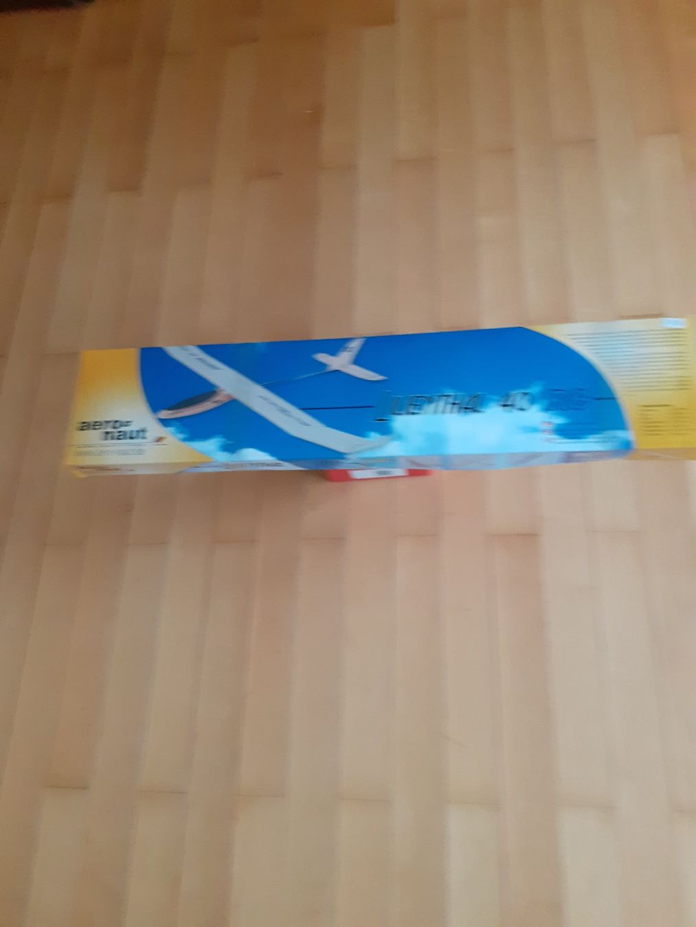 Modellismo RC: Segler Liilienthal – Usato da Schlieren venduto da sve_vc8w