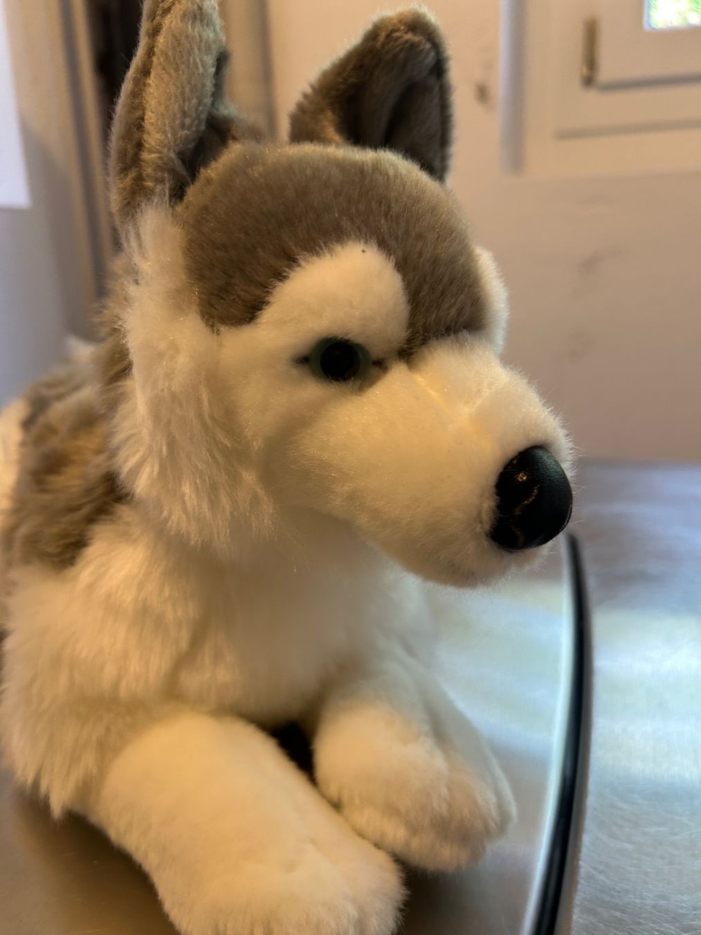 Giocattoli: Husky Kuscheltier – Nuovo e nell'imballaggio originale da Wabern venduto da belka72 2