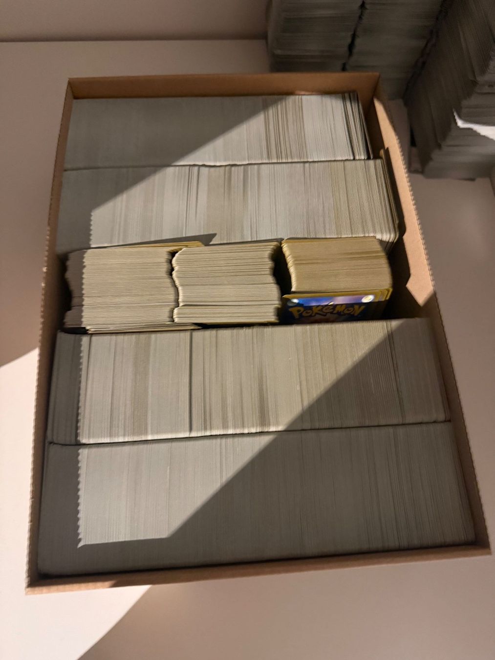 Pokémon Carte collezionabili: Japanische Pokemon Karten Bulk Common – Usato da Dübendorf venduto da Aik18 2