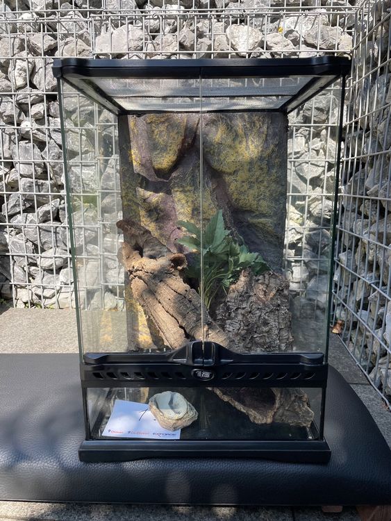 Exo Terra Terrarium Kaufen auf Ricardo