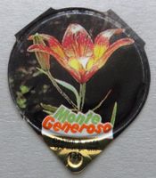 Série 635 (Attaches) - Monte Generoso  (20)