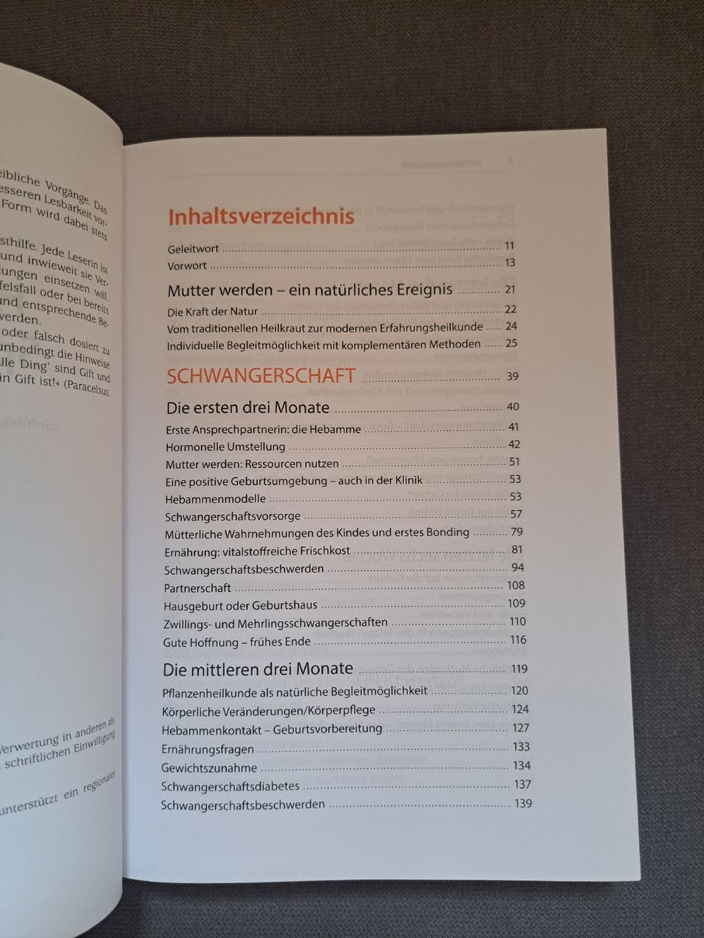 Libri: Schwangerschaftsbuch – Nuovo (secondo la descrizione) da Samstagern venduto da mel_ks7d 2
