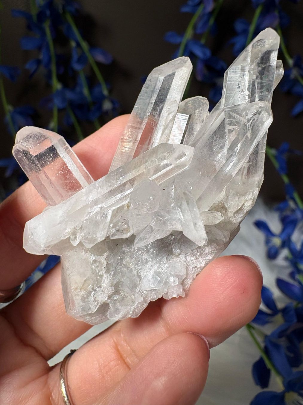 Minerali & Pietre curative: Kolumbianischer Lemurian-Quarz-Cluster – Nuovo (secondo la descrizione) da Neuheim venduto da m.hald 1