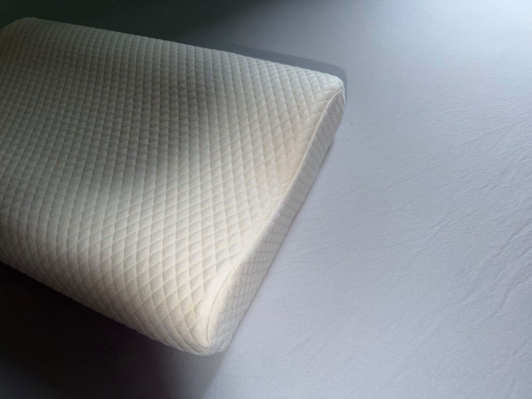 Tempur Cuscini: Kissen Confidence in Textiles – Usato da Aarau venduto da KorgPA 6