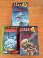 Div. Thomas Brezina Kinderbücher