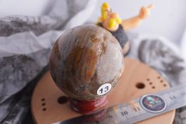 Versteinertes Holz   Kugel 50mm  Räumung Topstone  ab  10.-