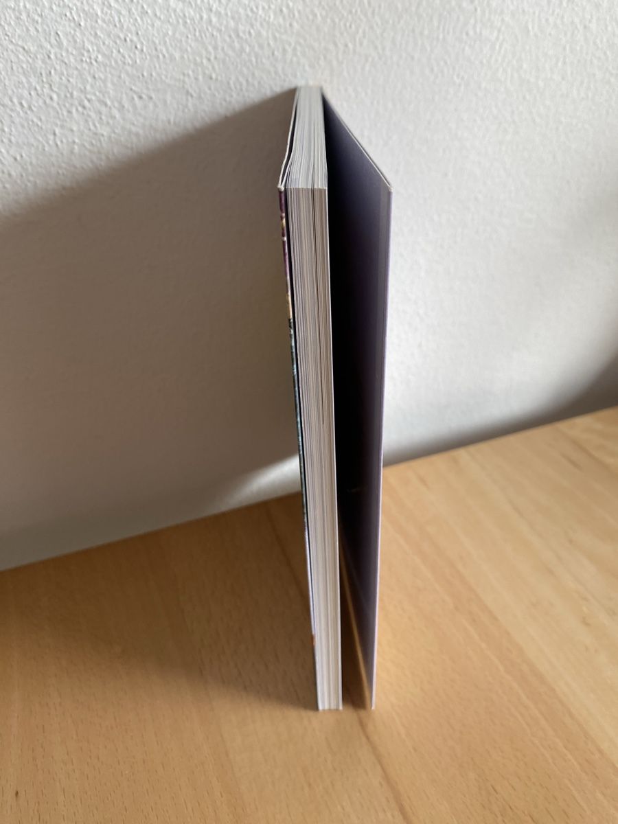 Libri: Schüssler-Salze Das Basisbuch - Günther H. Heepen – Usato da Schwarzenburg venduto da Michellu 3