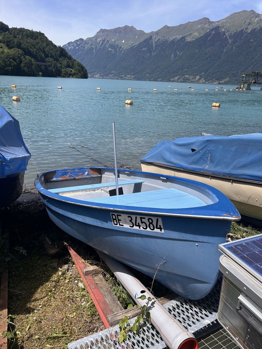Suzuki Boote: Motorboot 8PS Brienzersee – Gebraucht aus Matten b. Interl von Twinter94 6