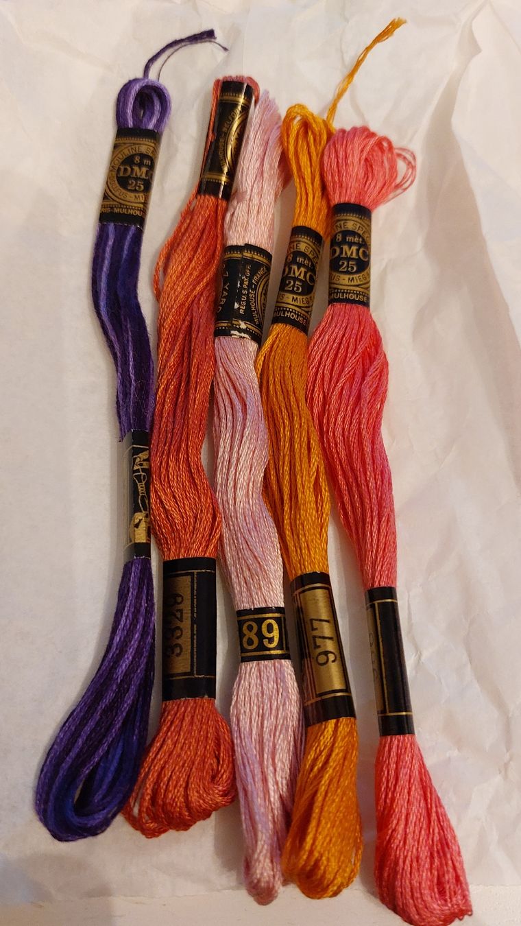 Cordicelle & Fili: DMC Stickgarn, verschiedene Farben, Top Zustand! – Nuovo (secondo la descrizione) da Niedergösgen venduto da Bertiana
