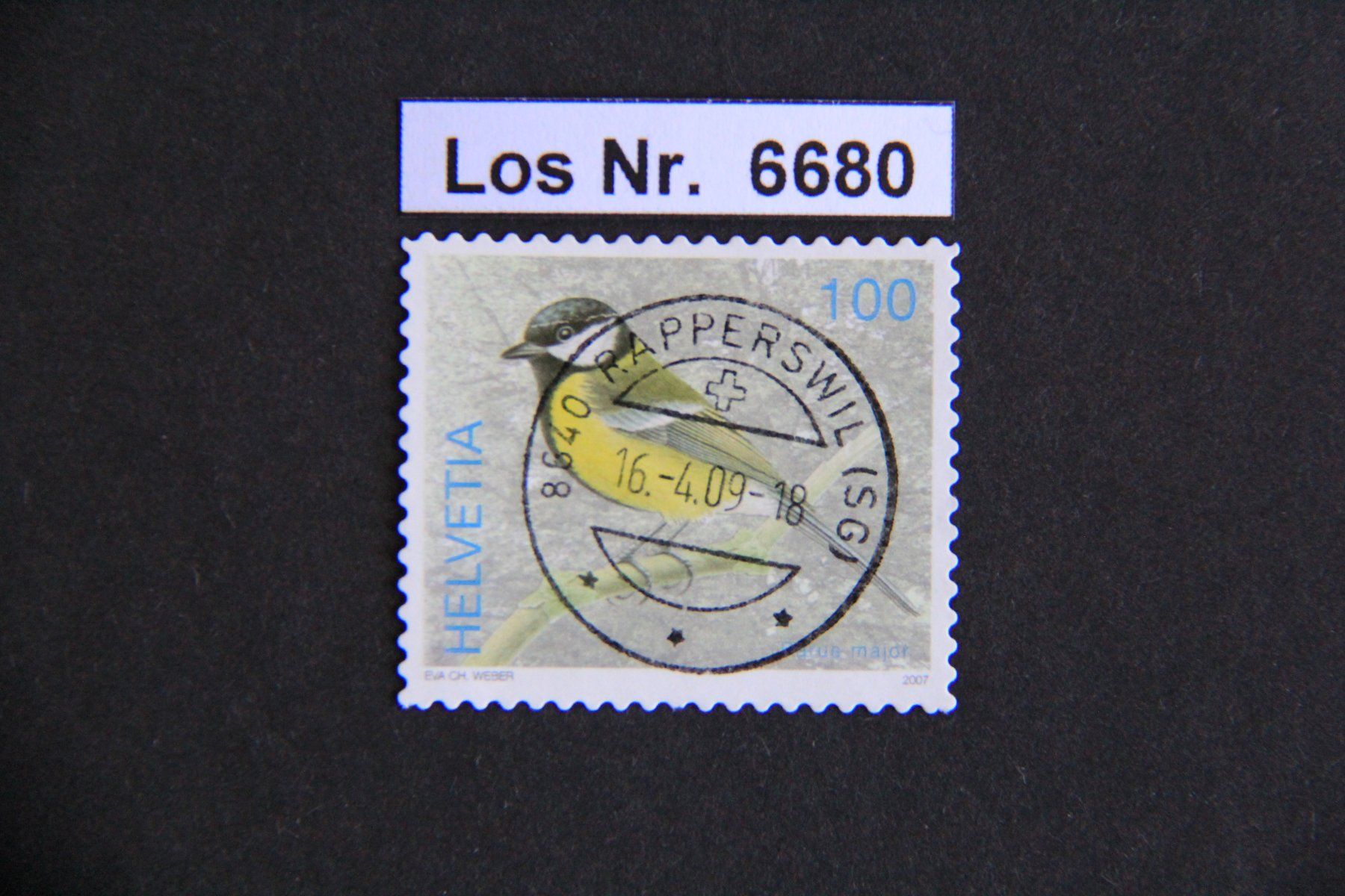 Tutti i francobolli: CH 2007 sauberer Vollstempel                        Los 6680 – Usato da Volken venduto da jukon65