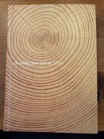 2004, Jahrbuch vollständig in postfrischer Erhaltung.