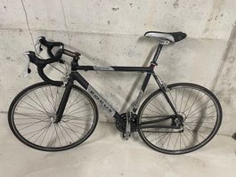 Focus Marakas Fahrrad