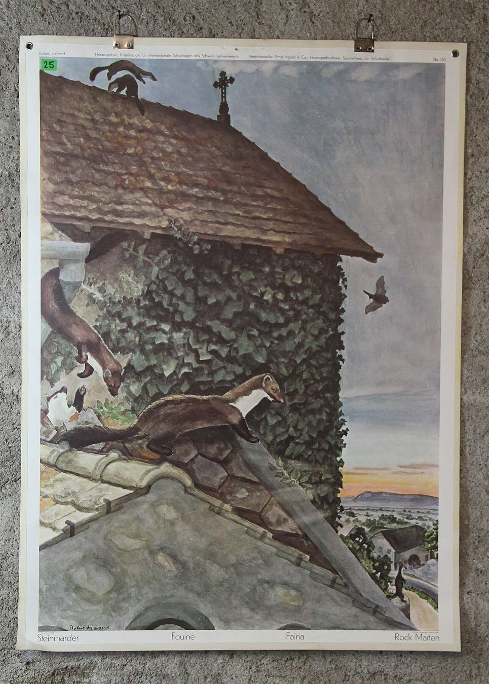 Poster & Bilder: Schulwandbild "Steinmarder" R. Hainard – Gebraucht aus Birrwil von brandschatz_birrwil 1