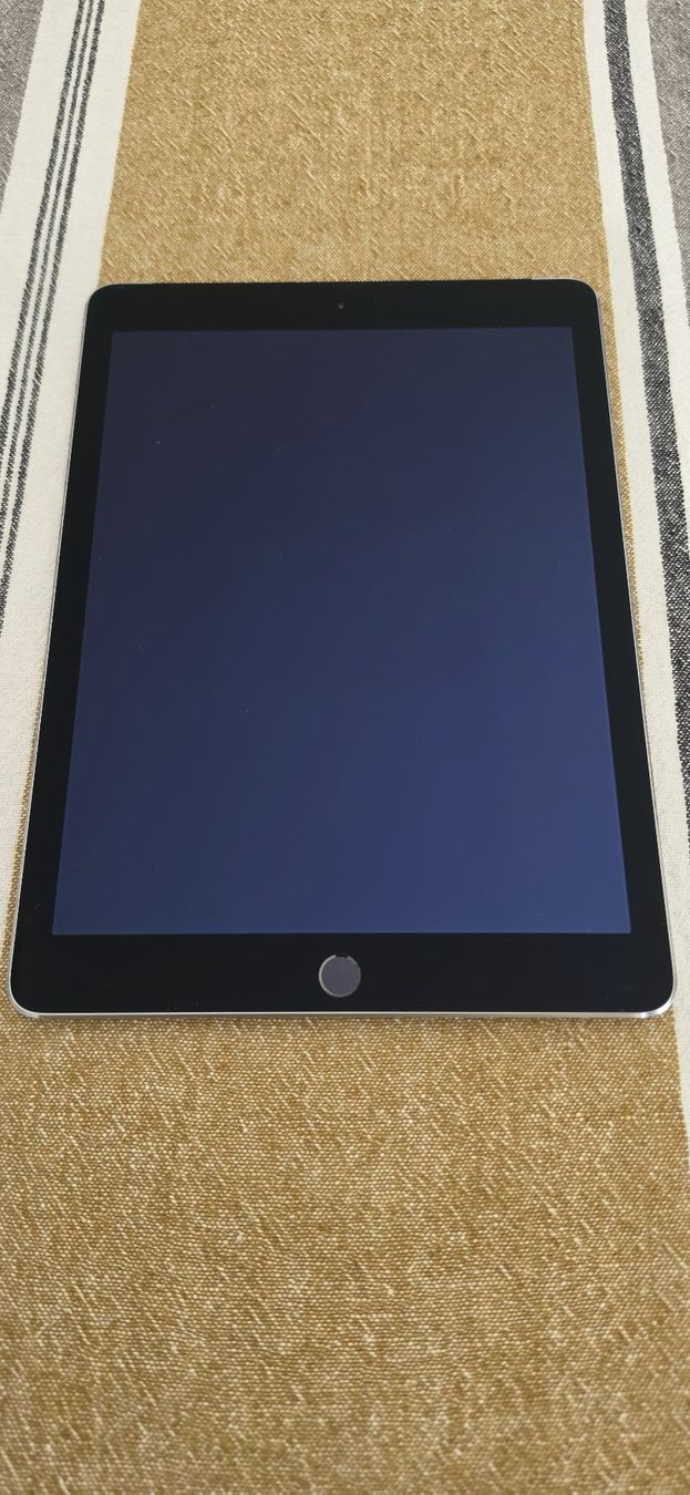 Apple Tablet PC: Apple iPad Air 2 64GB Wifi & SIM | Space Grau – Gebraucht aus Beinwil am See von star_link