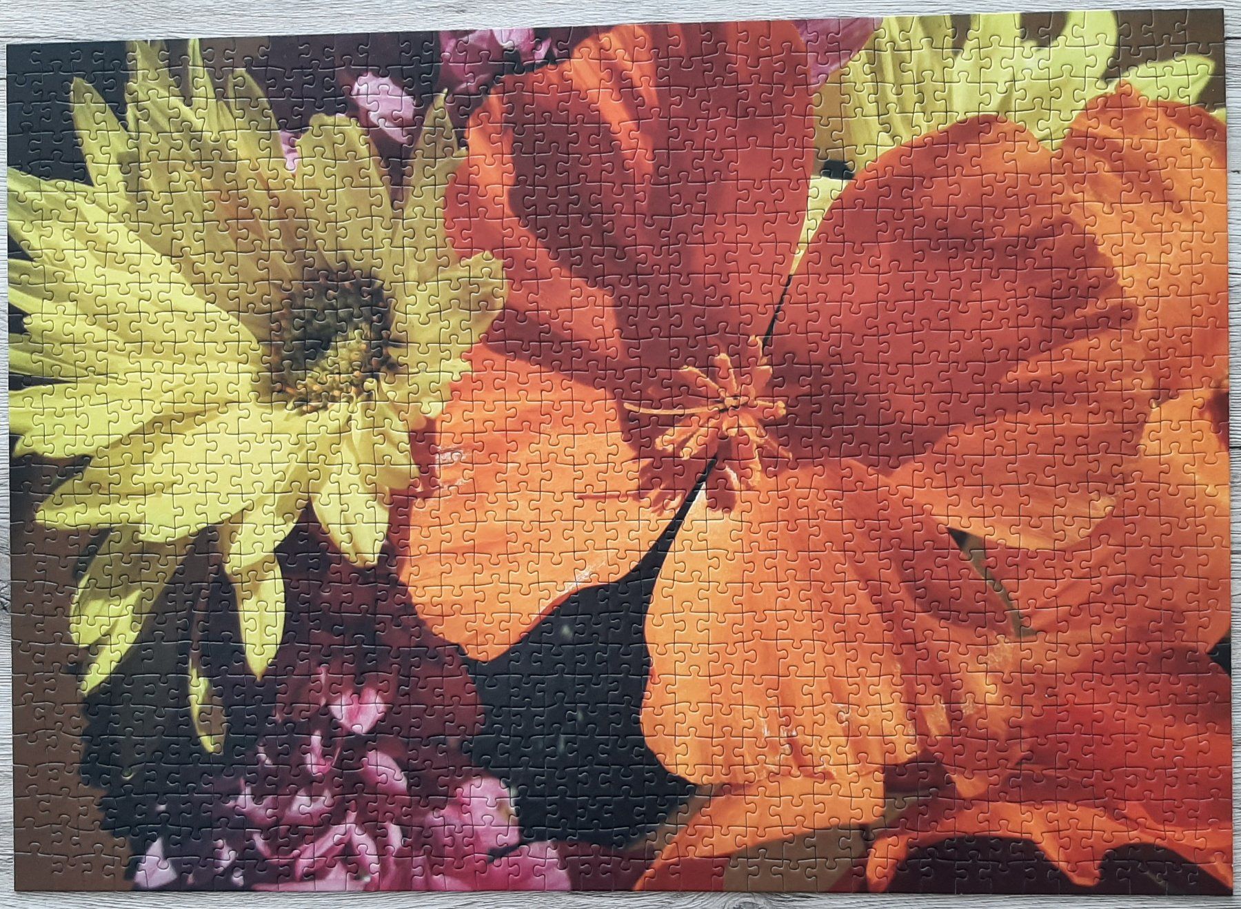 Puzzle: 4 Puzzle, je 1000 Teile – Usato da Fraubrunnen venduto da Ente2286 3