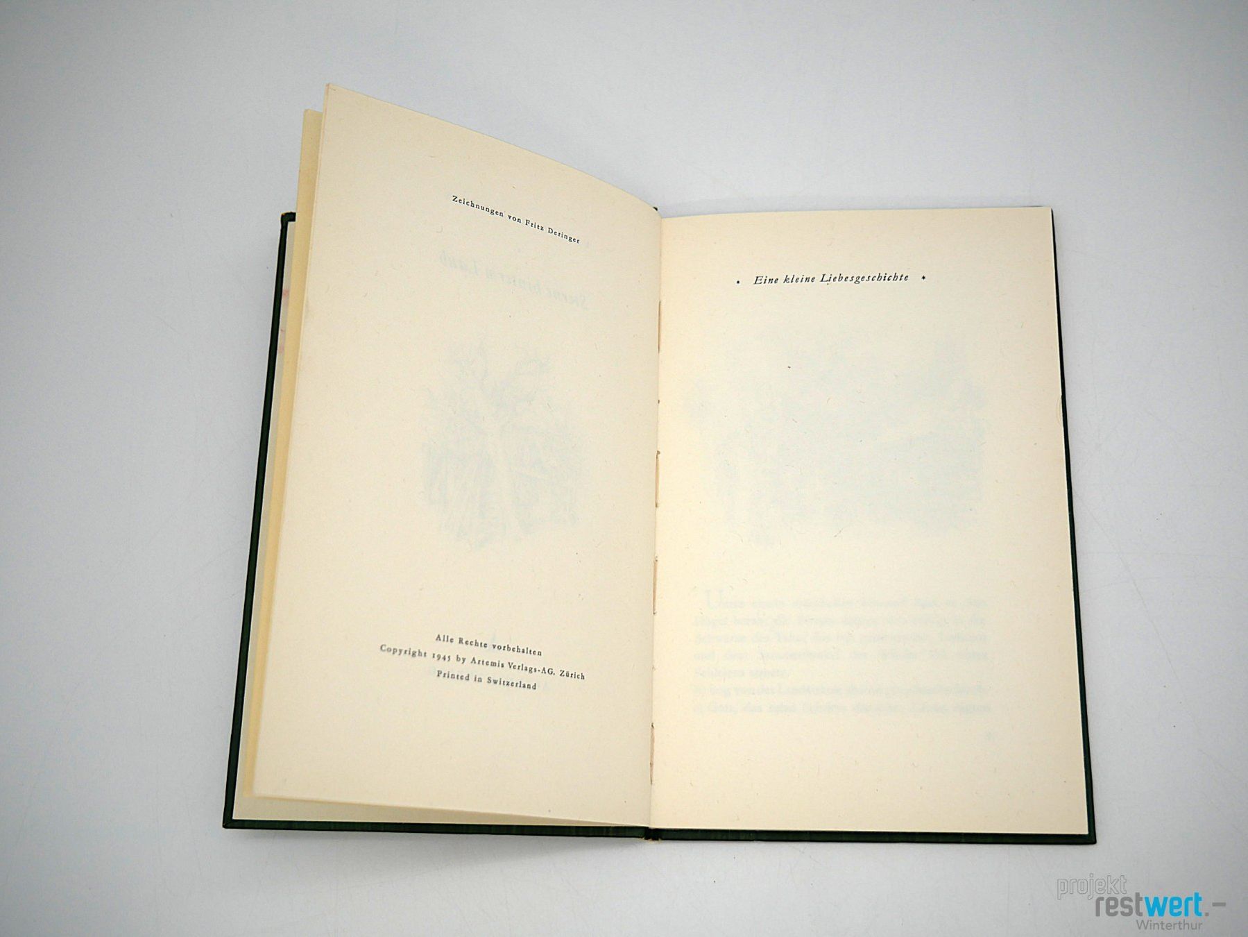 Libri: URSULA SCHULTHESS - Sterne hinterm Laub – Usato da Winterthur venduto da Restwert_Winterthur 3