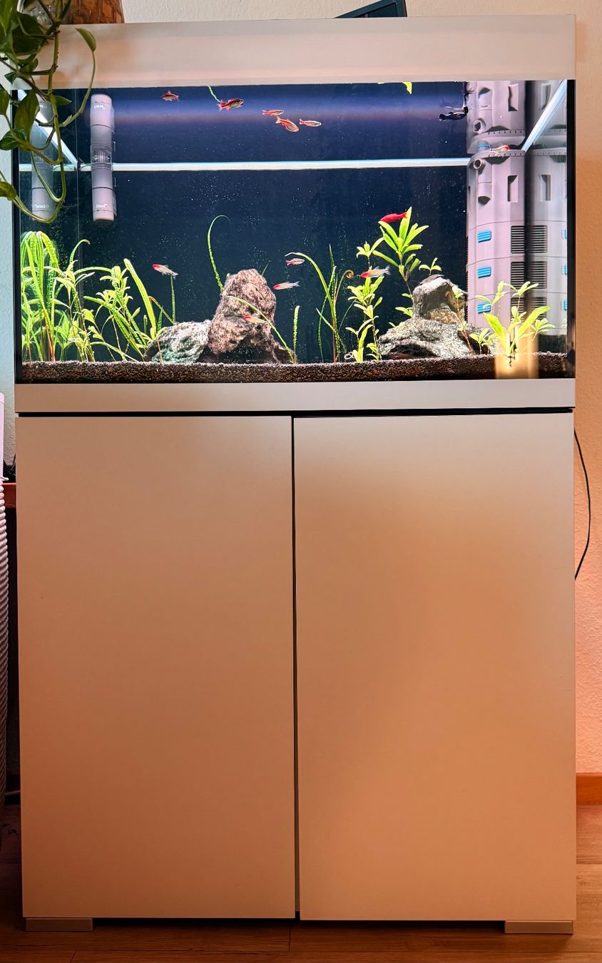 Oase Acquari: Aquarium Oase Styleline 175 Set – Usato da Unterägeri venduto da bas_rz62
