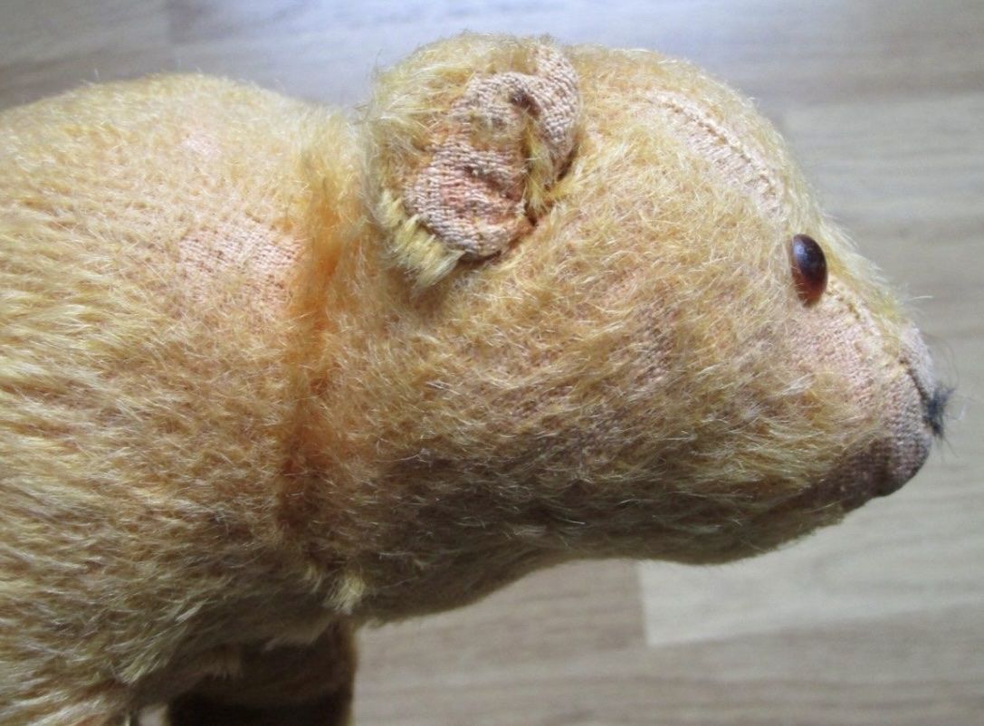 Spielzeuge: Antike Plüschtiere Teddy Spielsache Sammlung – Gebraucht aus Solothurn von NUVICO 7