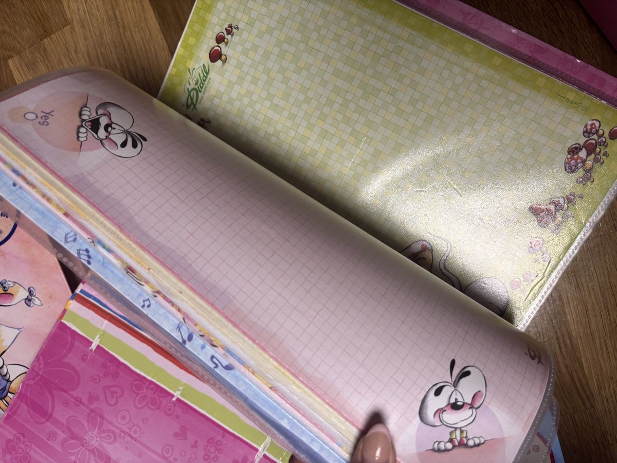 Raccoglitori: Diddl Ordner Sammlung – Usato da Amriswil venduto da thi_r29m 8