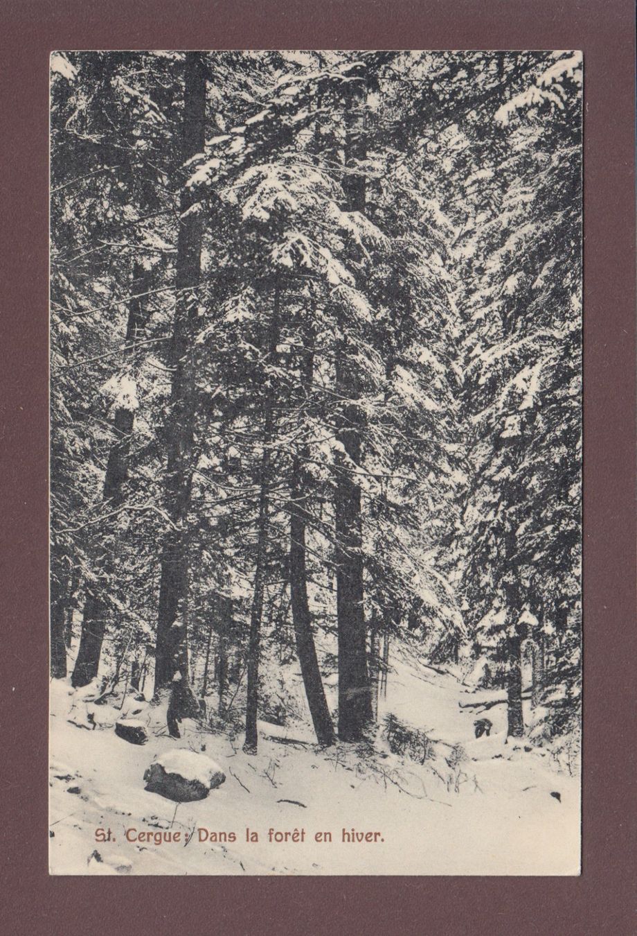 Cartoline postali: ST. CERGUE - Dans la forêt en hiver - 1910 – Usato da Pully venduto da nicecards