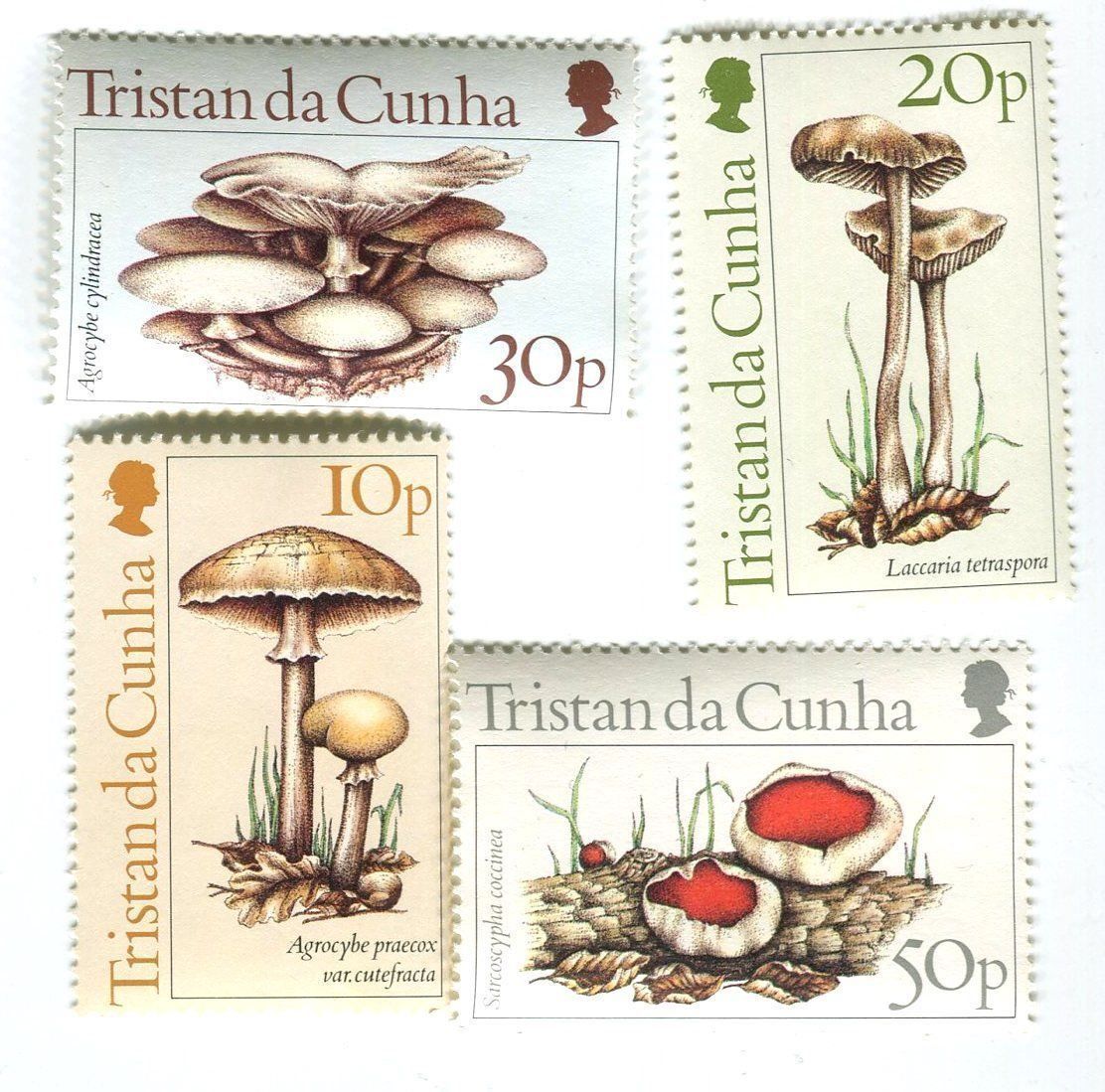 Tutti i francobolli: Briefmarken "Pilze". Tristan da Cunha – Nuovo e nell'imballaggio originale da Basel venduto da Butsch5