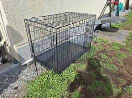 Hundekäfig