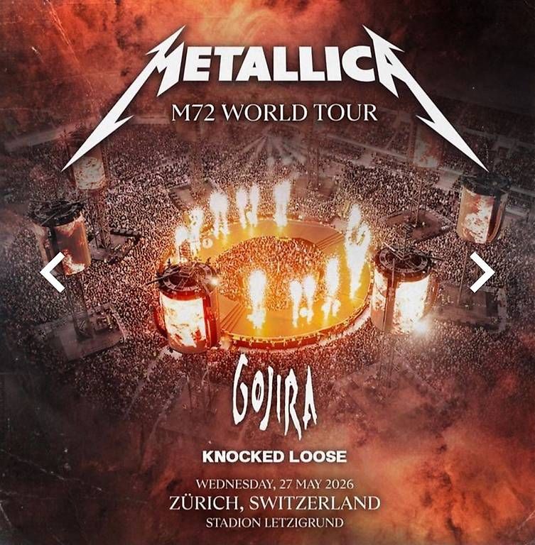 Biglietti: Experience PACKAGE: 2 tickets Zürich – Usato da Pregassona venduto da sga_yr8d